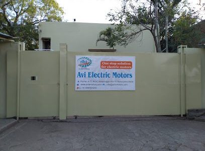 avi-electric-motors-co