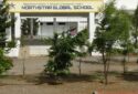 Northstar Global School