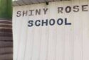 Shiny Rose School